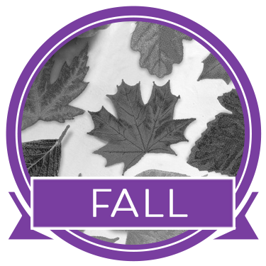 Fall